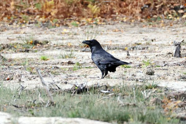 Leider weit weg (Doku)