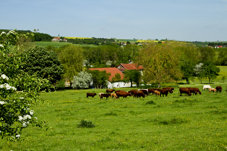 Leidingen