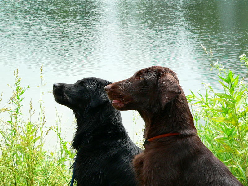 Leika und Cina