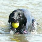 Leika und der Ball