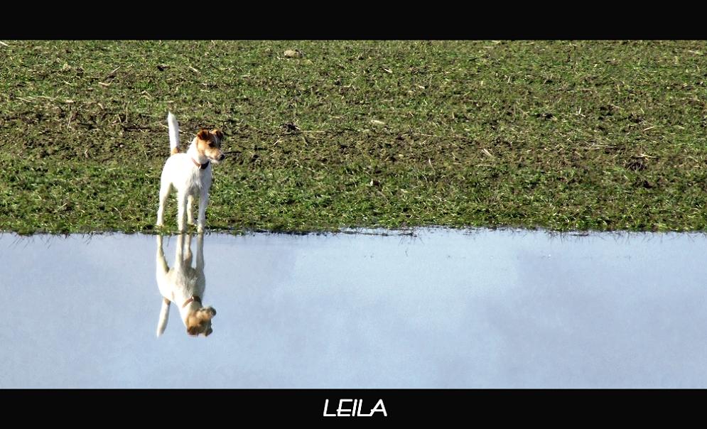 Leila on the Water