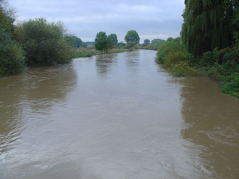 Leine-Hochwasser 30.09.2007 (1)