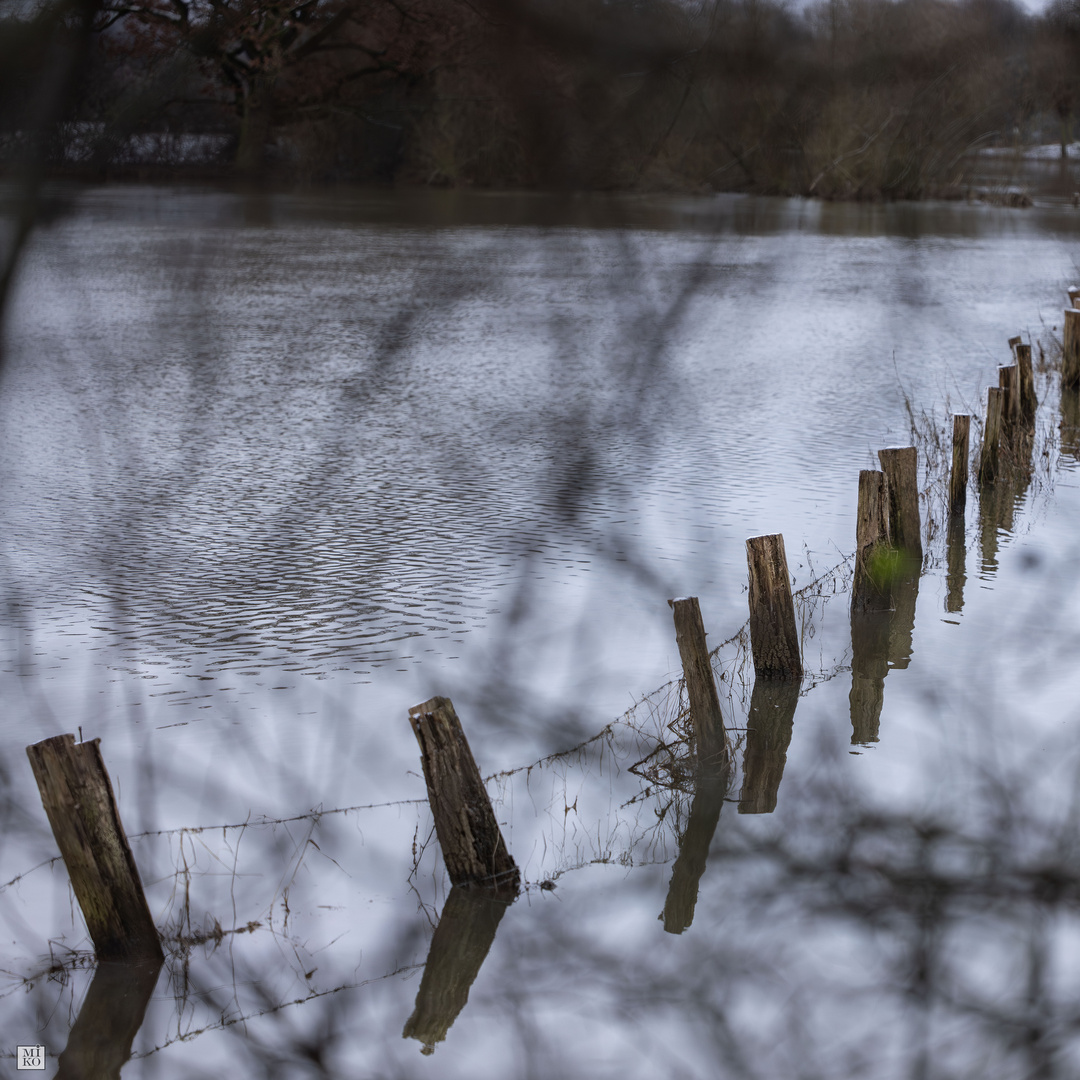 Leine Hochwasser bei Luthe