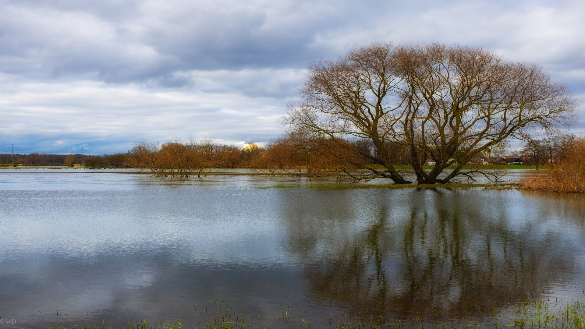 Leine. Hochwasser II