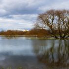 Leine. Hochwasser II