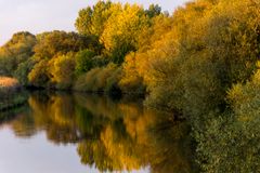 Leine im Herbst - Grasdorf/Hannover