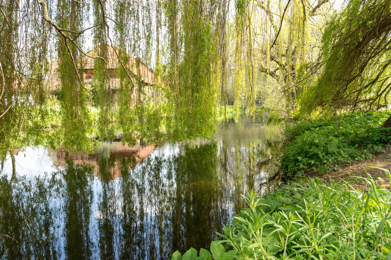 Leine mit Gut Besenhausen 