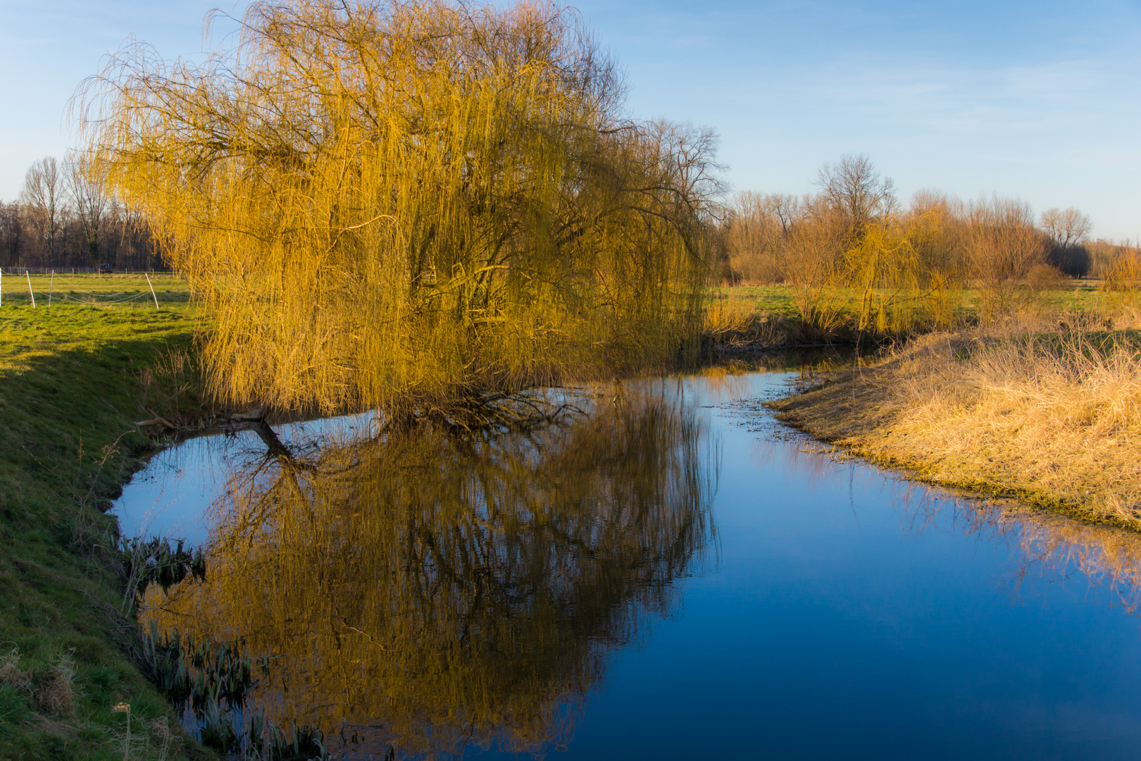 Leine - Wilkenburg bei Hannover