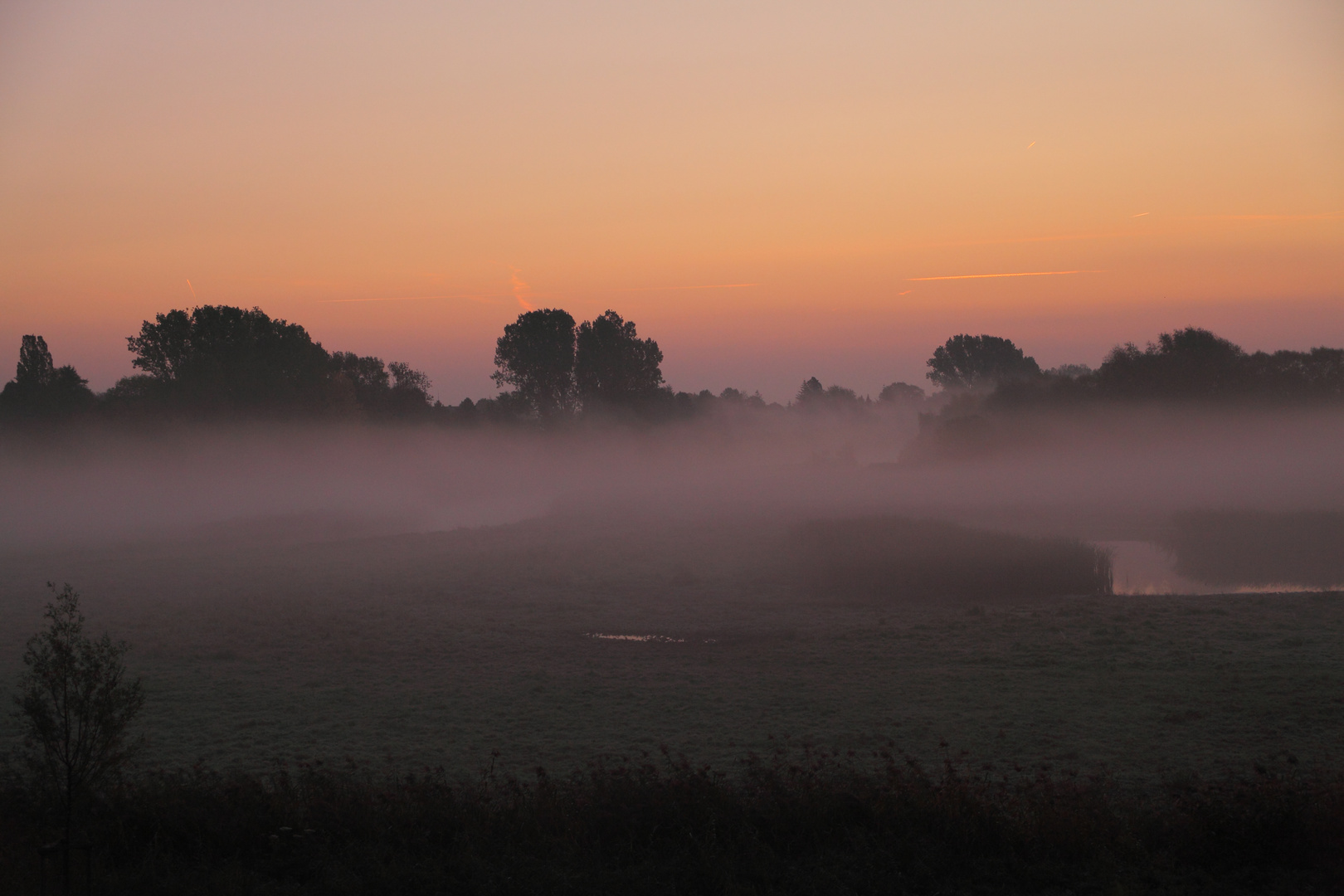 Leineaue im Nebel