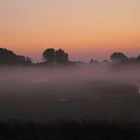 Leineaue im Nebel