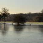 Leinehochwasser 1.11