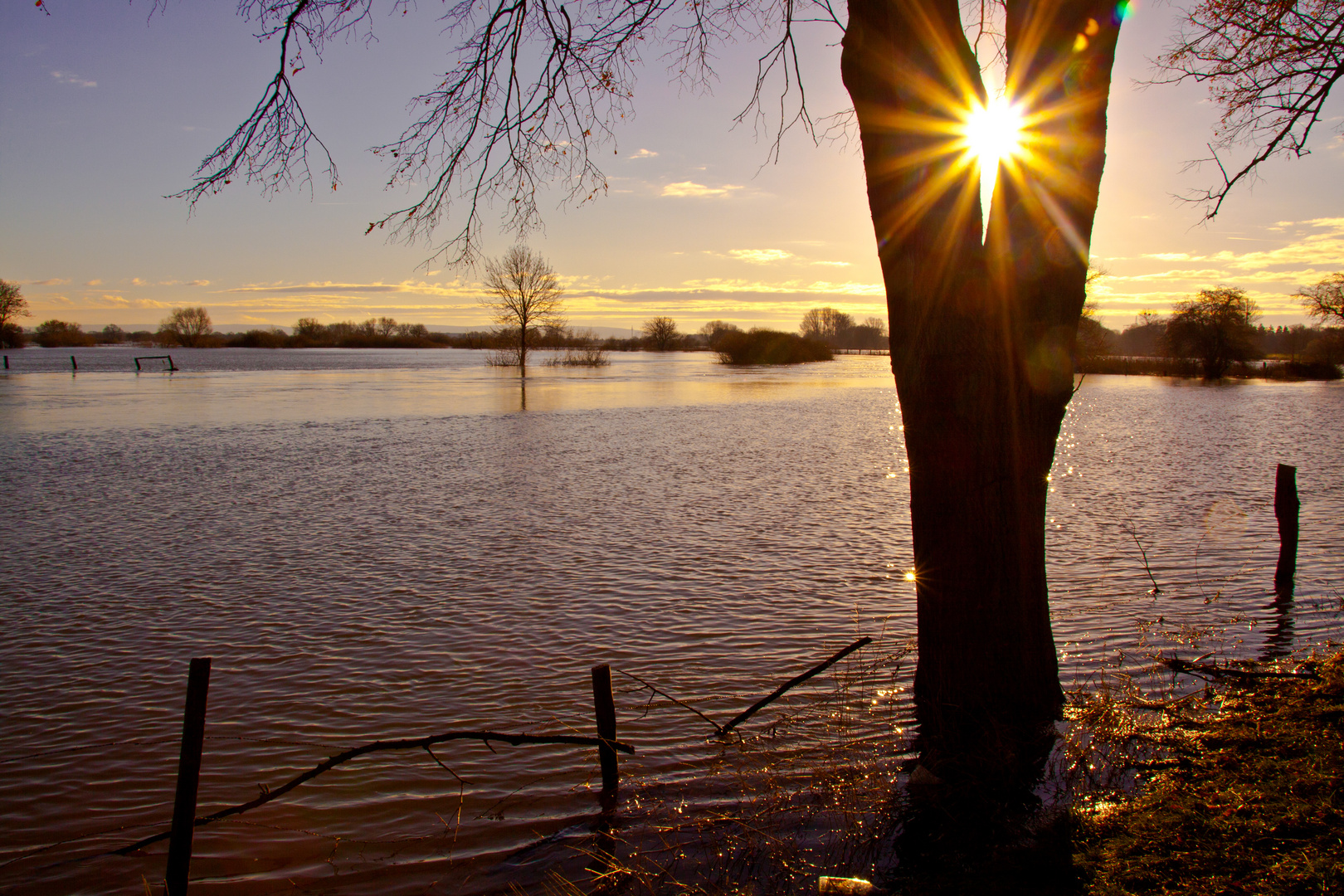 Leinehochwasser bei Bordenau