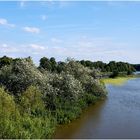 Leinehochwasser bei Schwarmstedt, Heidekreis