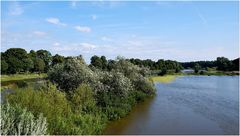 Leinehochwasser bei Schwarmstedt, Heidekreis