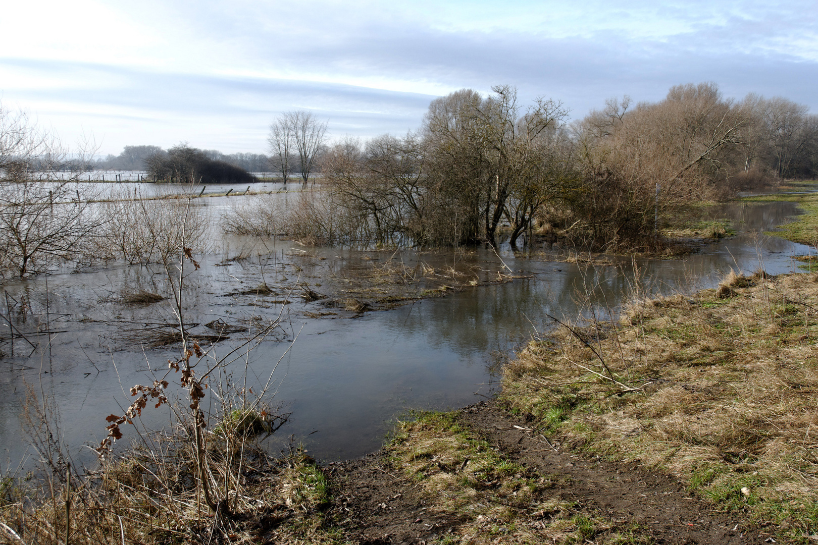 Leinehochwasser