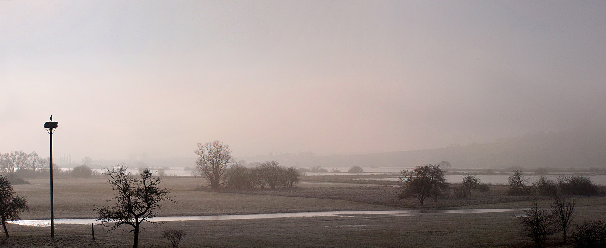 Leinepolder