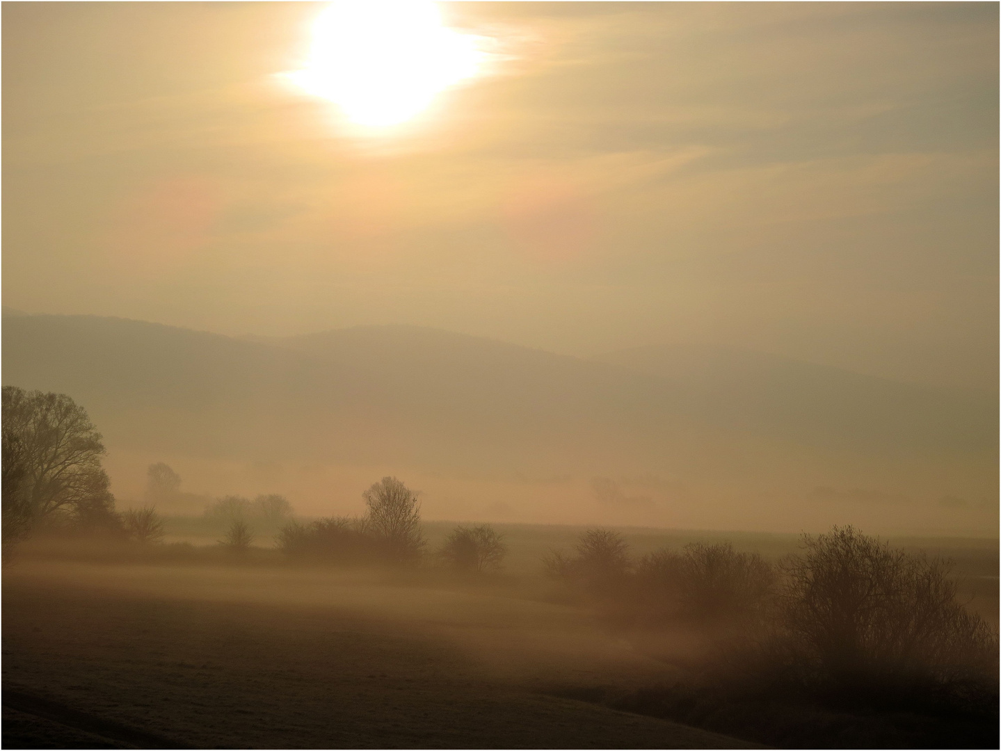 Leinepolder am 26.03.14