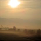 Leinepolder am 26.03.14