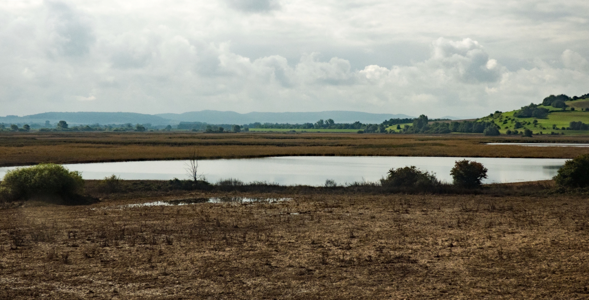 Leinepolder