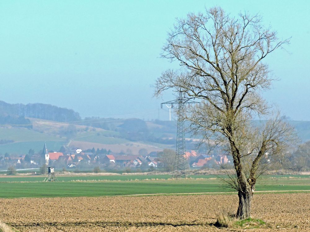 Leinepolder mit Blick auf das Dorf der "Gebrauchtwagenhändler".