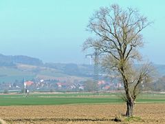 Leinepolder mit Blick auf das Dorf der "Gebrauchtwagenhändler".