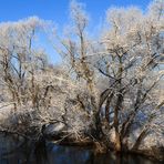 Leineufer (im Januar 2016)