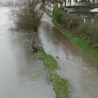 Leinpfad am Bootshaus Ruhreck