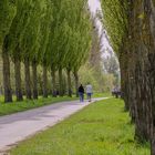 Leinpfad in Linkenheim-Hochstetten