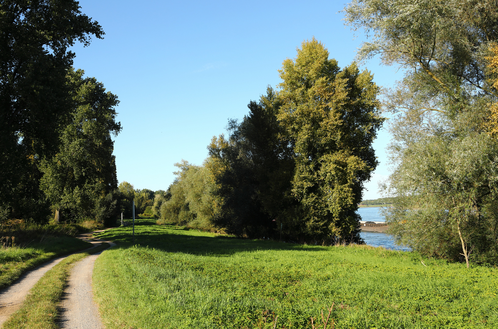 Leinpfand am Rhein nahe Zons