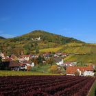 Leinsweiler im Herbst