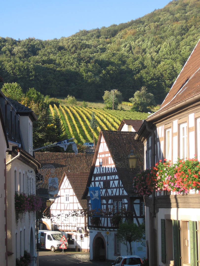 Leinsweiler (Pfalz) - Blick aus dem Ort auf die Weinberge