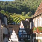 Leinsweiler (Pfalz) - Blick aus dem Ort auf die Weinberge