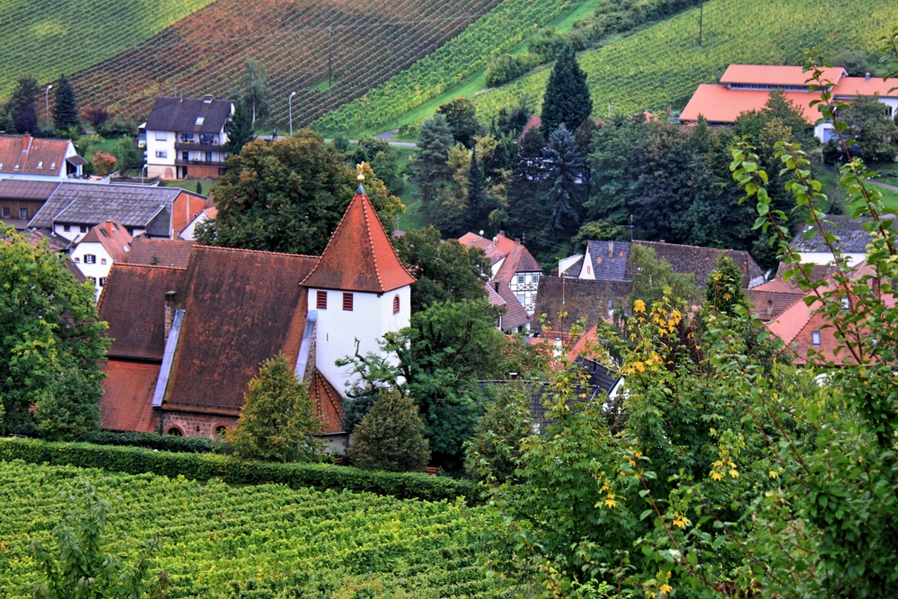 Leinsweiler von oben (2)