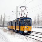 Leipzig: 1015 (SL 8)