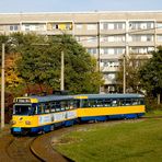 Leipzig: 2127 (SL 8)