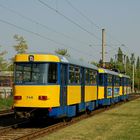 Leipzig: 746 (SL 15)