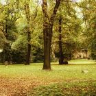 Leipzig, alter Johannisfriedhof 1