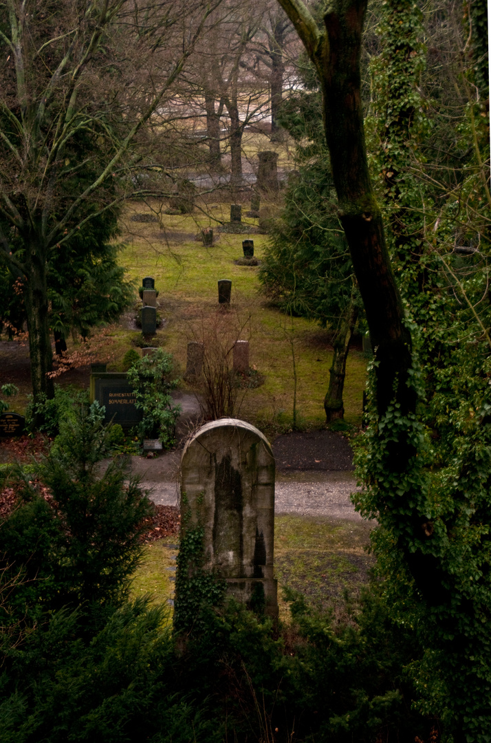 Leipzig Blick in den Südfriedhof