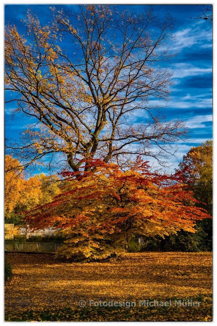 Leipzig, Clarapark im Herbst