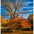 Leipzig, Clarapark im Herbst