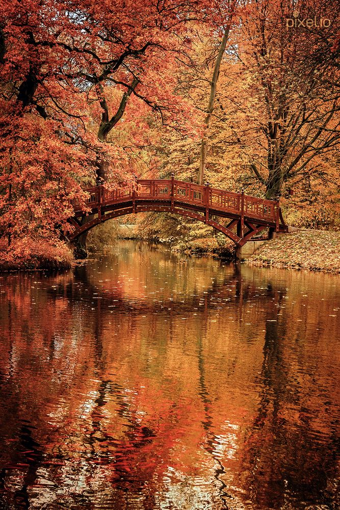 Leipzig im Herbst Foto & Bild  natur, leipzig, herbst Bilder auf fotocommunity