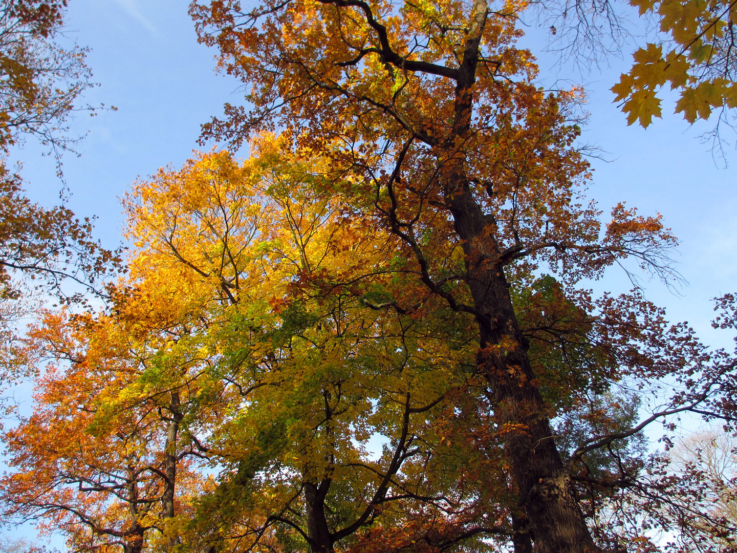 Leipzig im Herbst