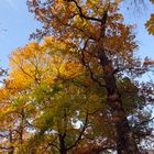 Leipzig im Herbst