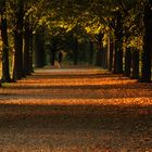 Leipzig im Herbst