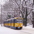 Leipzig: Im winterlichen Clara-Zetkin-Park