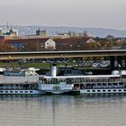 Leipzig in Dresden auf der Elbe