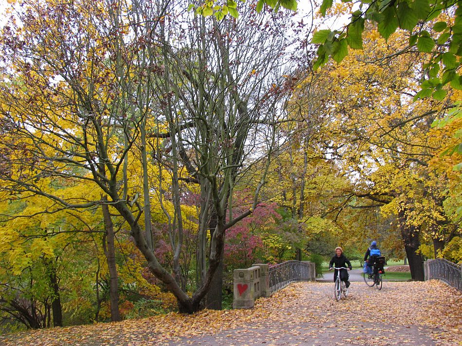 Leipzig, Palmengarten, wo keine Palmen stehen