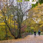 Leipzig, Palmengarten, wo keine Palmen stehen