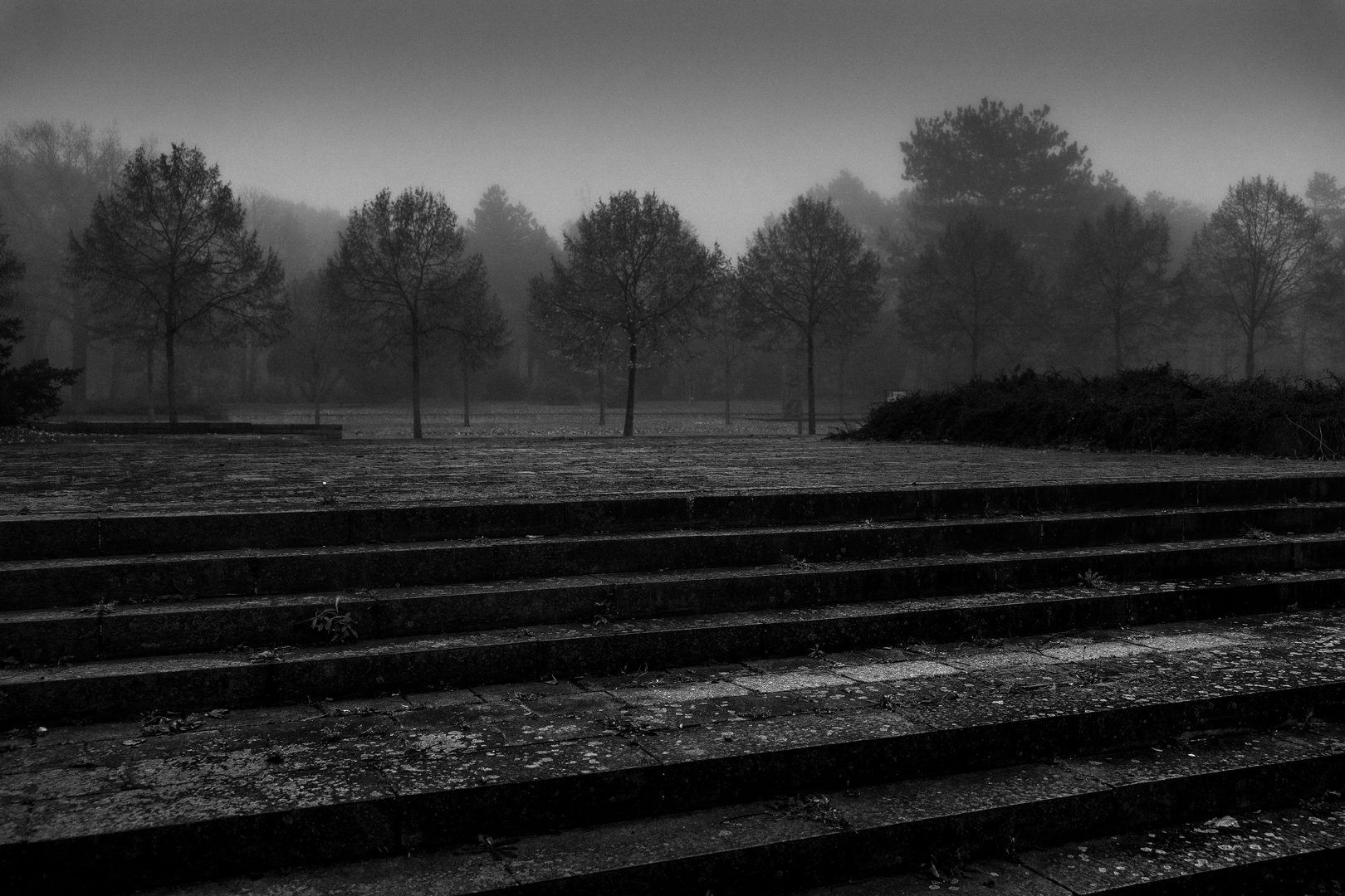 Leipzig Südfriedhof 9-21 5