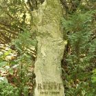 Leipzig-Südfriedhof - Klaus Renft